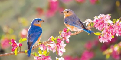 NID-6867_spring.jpg