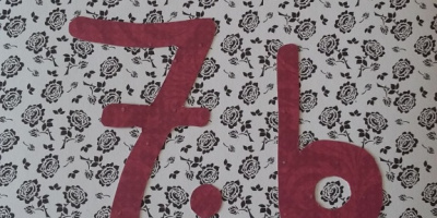 7b magatartásfüzet