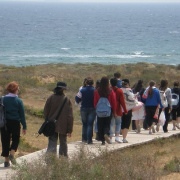NID-454_08_apr_espana_111.jpg