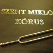 08_febr_koncert_9.jpg
