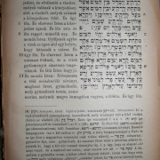 NID-578_biblia-037.jpg