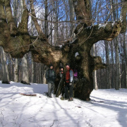 NID-639_Csovanyos2012b-03.jpg