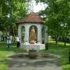 punkosdi_ifj_talalk00012.jpg