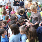 NID-816_aszfalt_rajz00141.jpg