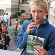 NID-816_aszfalt_rajz00156.jpg