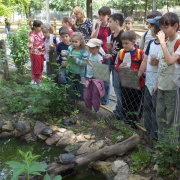 napkozis_tabor00017.jpg