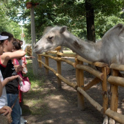 napkozis_tabor00018.jpg