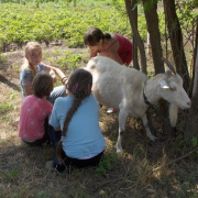 napkozis_tabor00041.jpg