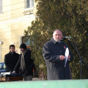 NID-1475_Nagykaroly2010-0060315.jpg