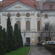 NID-1474_Nagykaroly2010-146.jpg