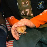 NID-1502_csibek00005.jpg