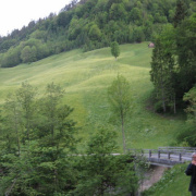 NID-802_Salzburg-Mai2009-02.jpg