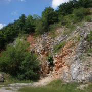 NID-1654_kirandulas00013.jpg