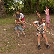 NID-963_hagyomanyorzo_tabor00020.jpg