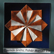 NID-2283_origami00013.JPG