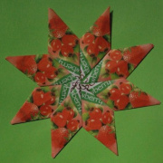 NID-2283_origami00032.JPG