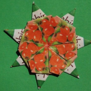 NID-2283_origami00045.JPG