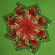 NID-2283_origami00048.JPG