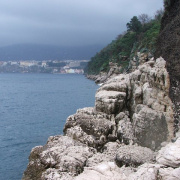 NID-2417_DSCF7476.JPG