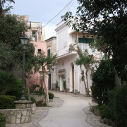 NID-2417_DSCF7894.JPG