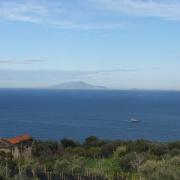 NID-2417_DSCF8036.JPG