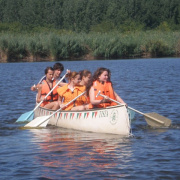 NID-2592_golyatabor297.JPG