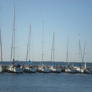 NID-3060_Gigean_Comenius010.JPG