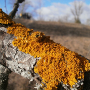NID-3210_P1140095.JPG