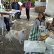 csaladi_nap28.JPG