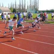 NID-4462_atletika05.JPG