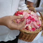 Urnapja058.JPG
