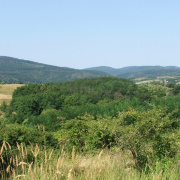 NID-4641_DSCF1793.jpg
