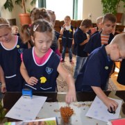 1c_osztaly07.JPG