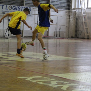 NID-5151_foci_kupa14.JPG
