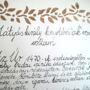 NID-5197_tori_verseny04.jpg