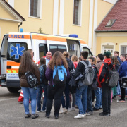 NID-5330_egeszsegnap-2014-2-125.jpg