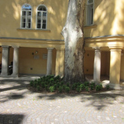 NID-5449_Budapest10.jpg