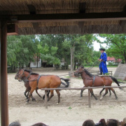 NID-5542_IMG_6269.jpg