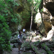 NID-5557_DSCF1962.jpg