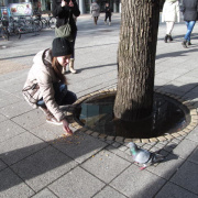 piarista_noverek46.JPG