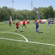 NID-6365_focikupa017.JPG