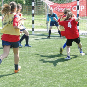 NID-6365_focikupa062.JPG