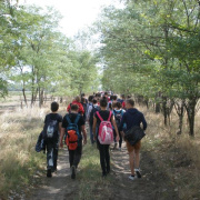 NID-3623_zarandoklat228.JPG