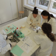 NID-6732_NK2015-05.jpg