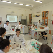 NID-6732_NK2015-06.jpg