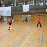NID-6811_TEKO_kupa30.JPG