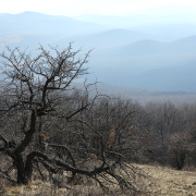 NID-6813_SZAK1437_fab.jpg