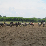 NID-6457_IMG_09959.JPG