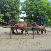 NID-6457_IMG_09965.JPG