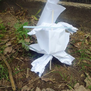 NID-7039_NID-7039_DSCF0666.JPG